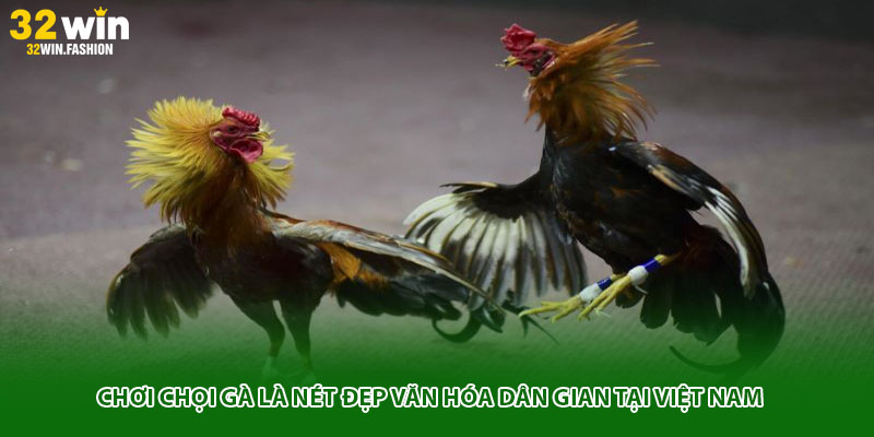 Chơi chọi gà là nét đẹp văn hóa dân gian tại Việt Nam