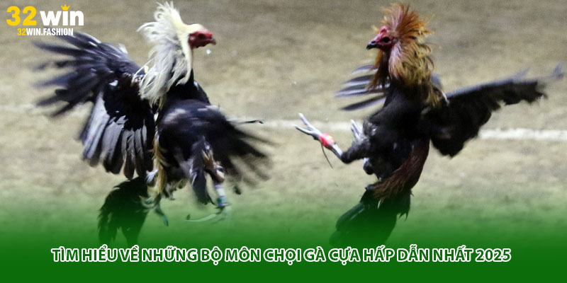 Tìm hiểu về những bộ môn chọi gà cựa hấp dẫn nhất 2025
